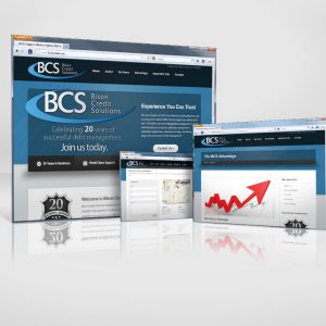 Calgary credit agency website for Bison