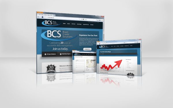 Calgary credit agency website for Bison