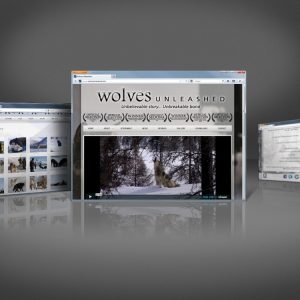 Wolves Unleashed custom animal training website